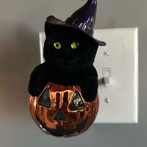 Black Cat in Pumpkin Wallflower Plug